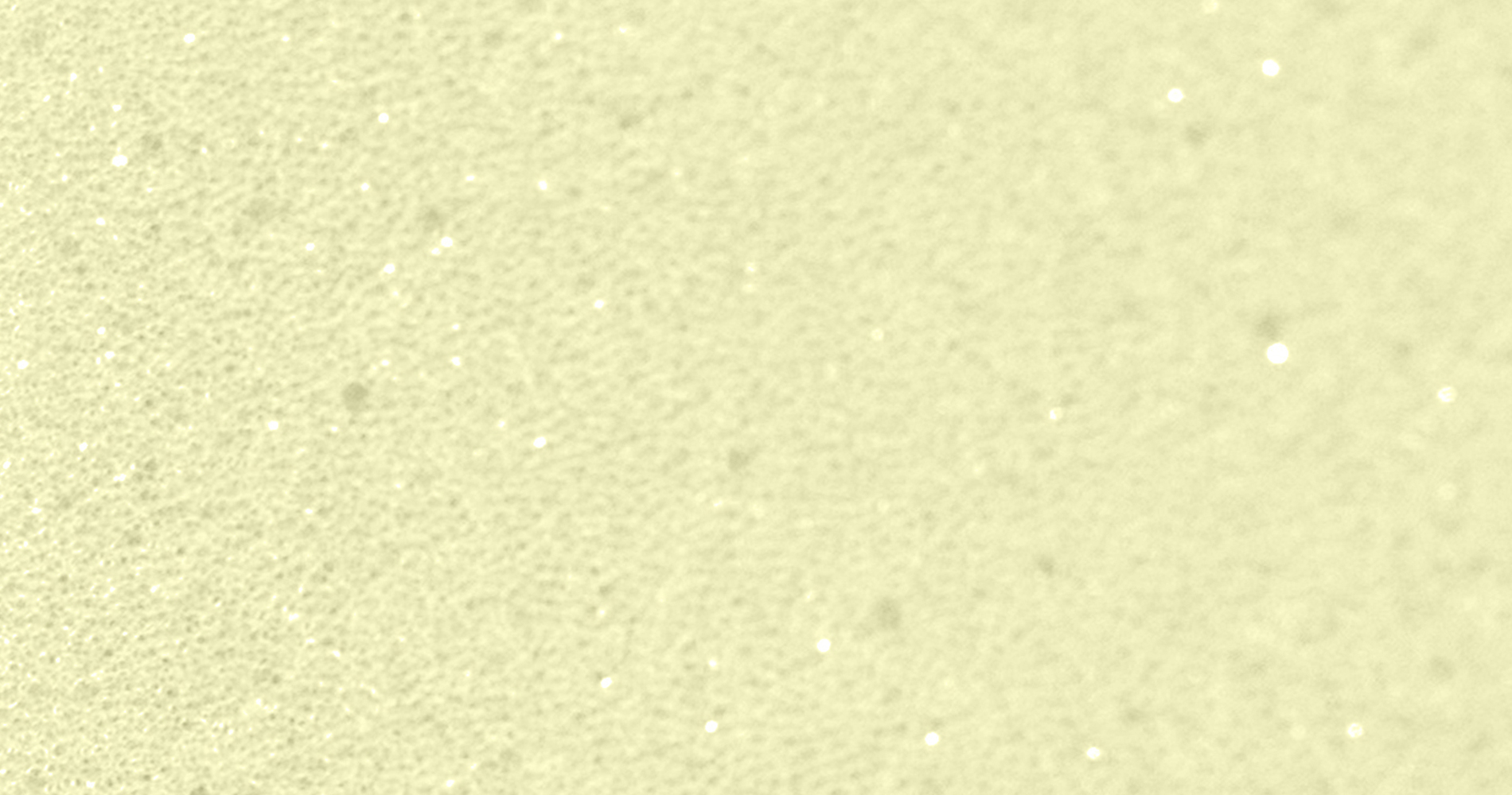 Ортопедическая пена Ergoflex в матрасе EMM