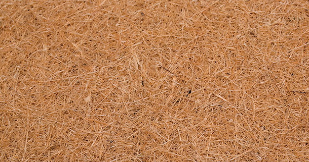 Coconut coir в матрасе Palmera