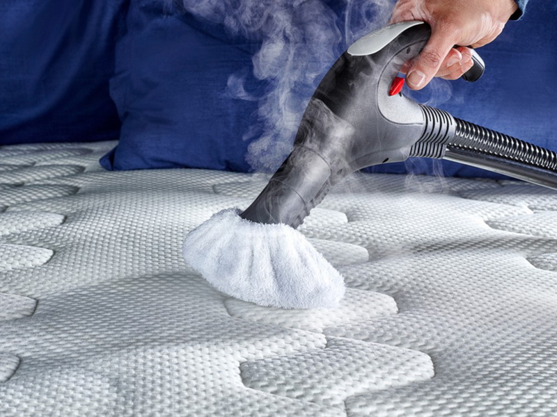 Как решить проблему плесени на матрасе навсегда